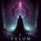 Velum