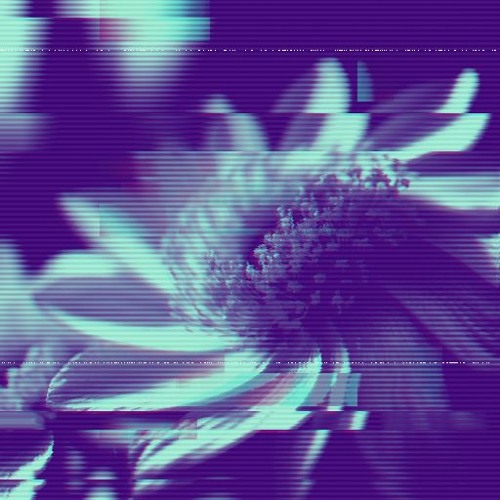 Skrillex_8