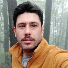 miladlasemi