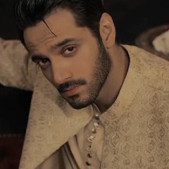 Younishahjillani Syed