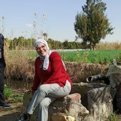 Ebtesam Askar