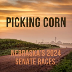 Picking Corn – Nebraska's 2024 Senate races