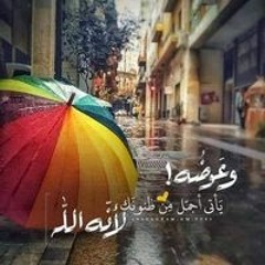 Shosho Ahmed