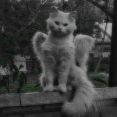 ♪.:rxthless:.♪