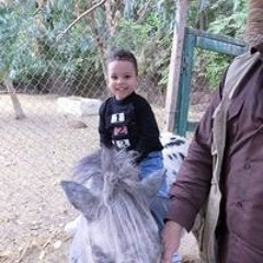 Mahmed Islam