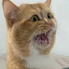 Tomspson