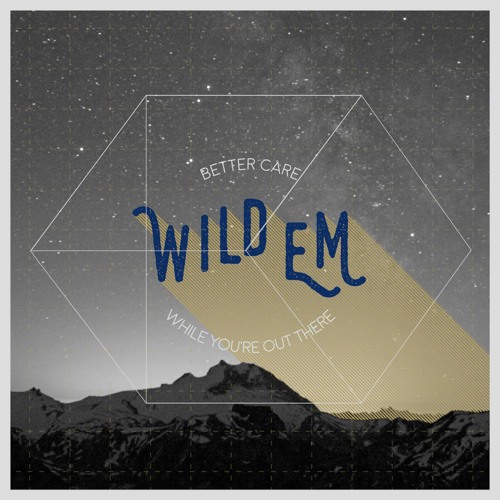 WildEM the Wilderness Medicine Podcast’s avatar