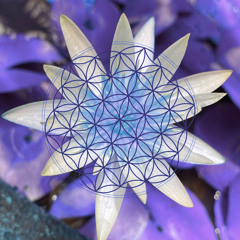 $𝔥𝔩𝔲𝔯𝔭