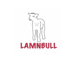 LAMNBULL Music House