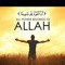 احمد النواوي