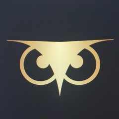 The golden owl Pro
