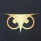 The golden owl Pro