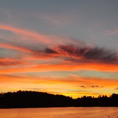 Homura - Demon Slayer [cover]