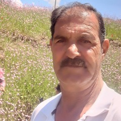 غلام شیخی