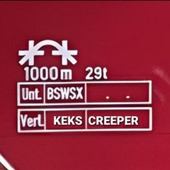 ⢽BSWSX⡯
