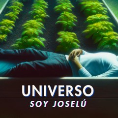 Voy A Plantar Tomates