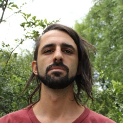 Nico Delpréstito