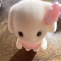 ໄ o ้ อ้ ว น ເ ง ้ ย . . 💢