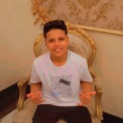 باسم ربيع الشافعي