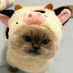beans