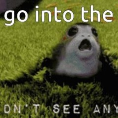 ℙ𝕠𝕣𝕘𝕚𝕖