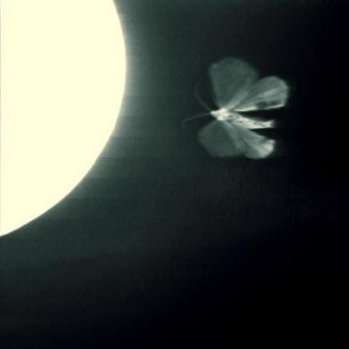 Fragile