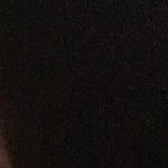 zoee