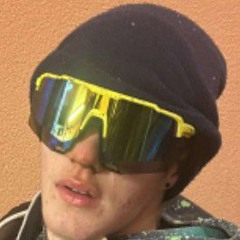 Levin.schaub2009