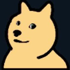 dog still not dancing
