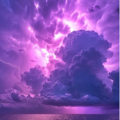 Purple Dreamer