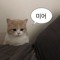 다정