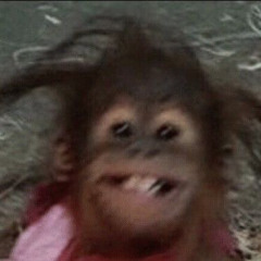 Sallaa_
