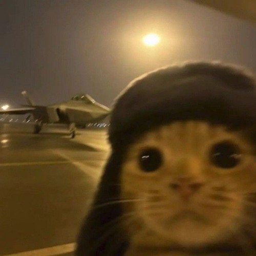 give me a chance - slowhoe