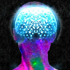 Operation Meatgrinder