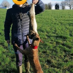 Sean clare🤠🦊💥