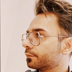 Ramin Tolu Honari
