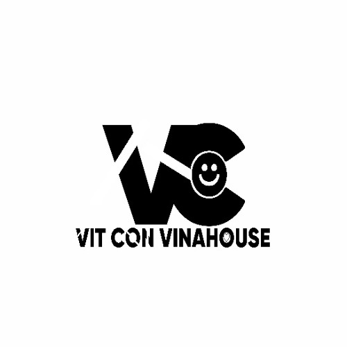 Vịt Con Vinahouse — artist photo