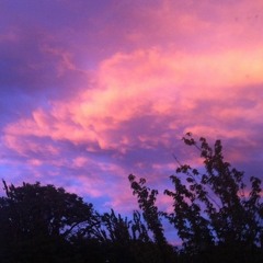 lilac skies