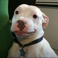 ilyNHtho