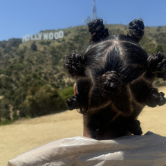 LONE STAR OFFICIAL ⭐️🇹🇹