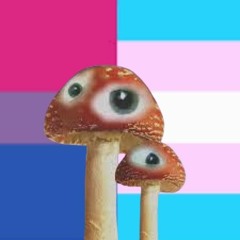 🦋💜🏳️‍⚧️ 𝕃𝕠𝕥𝕤𝕁𝕚𝕥𝕥𝕖𝕣𝕓𝕦𝕘🏳️‍⚧️ 💜🦋