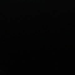 rostik