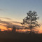 Certified Sunset