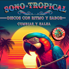 Sono • Tropical