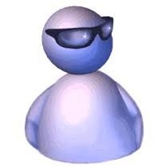 BsZK