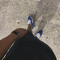 Vinicius 22