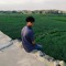POOYA