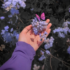 Noor