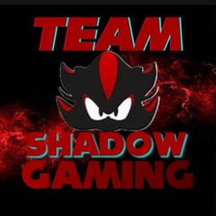 Team Sonic VS Team Dark (Side Team Shadow Gaming)