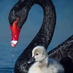 𝐌𝐬 𝐅𝐚𝐢𝐭𝐡